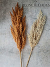 Artificial Pampas Grass 90cm Rust