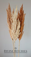 Artificial Pampas Grass 90cm Rust