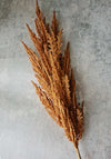 Artificial Pampas Grass 90cm Rust