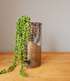 Cylinder Glass Vase Silver