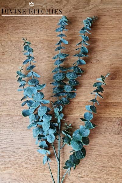 Eucalyptus Wax Bunch